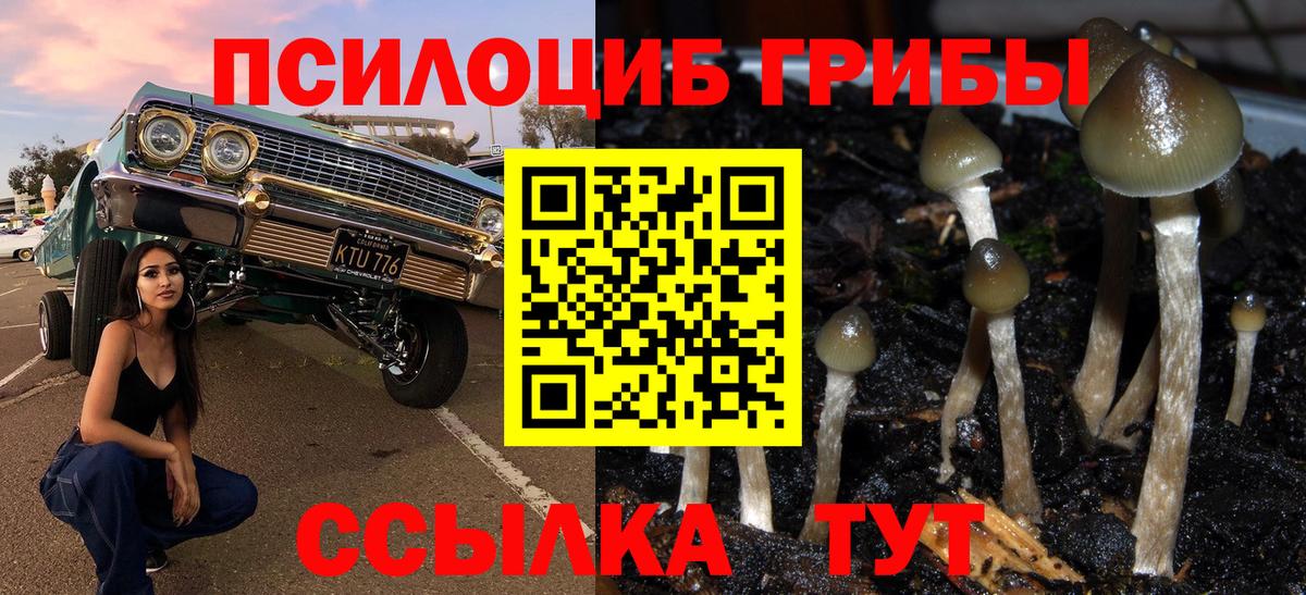 что такое   Галлюциногенные грибы мухоморы  Советск  Вход с VPN  Галлюциногенные грибы Psilocybine cubensis 